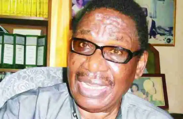 "EFCC Is Recovering Stolen Money From Diezani Every Day" - Itse Sagay